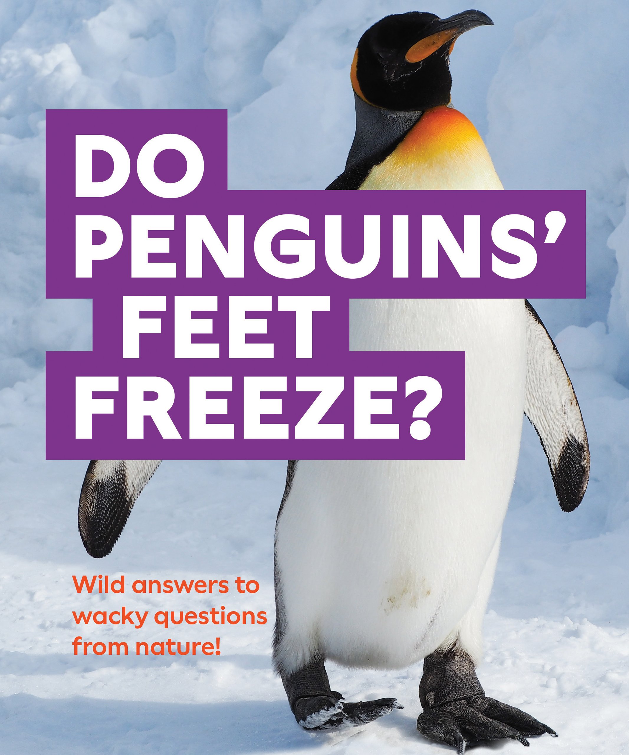 Do Penguins’ Feet Freeze? by Natural History Museum, London