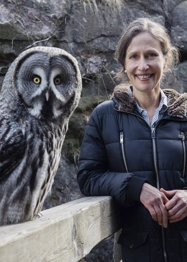 Jennifer Ackerman on What An Owl Knows